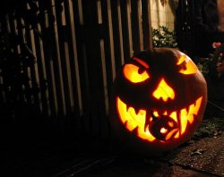 Our other neighbor's cannibal pumpkin