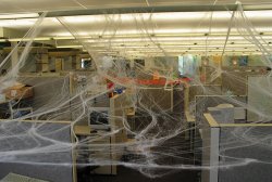 More spiderwebs