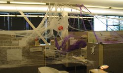 Purple spiderwebs