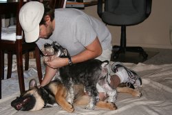 Indy meets Misha at DQ's, 2006-03-19