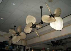 Fans at Jake's