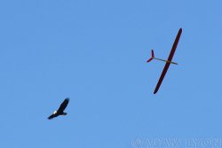 wIMG_3079.jpg