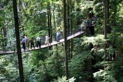 The Treetop Adventure at the Capilano Suspension Bridge
