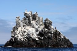 Five Finger Rock -- Check out that crazy ladder & sea lion