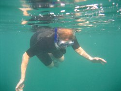 Joyce snorkeling
