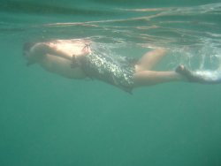 Tyler snorkeling