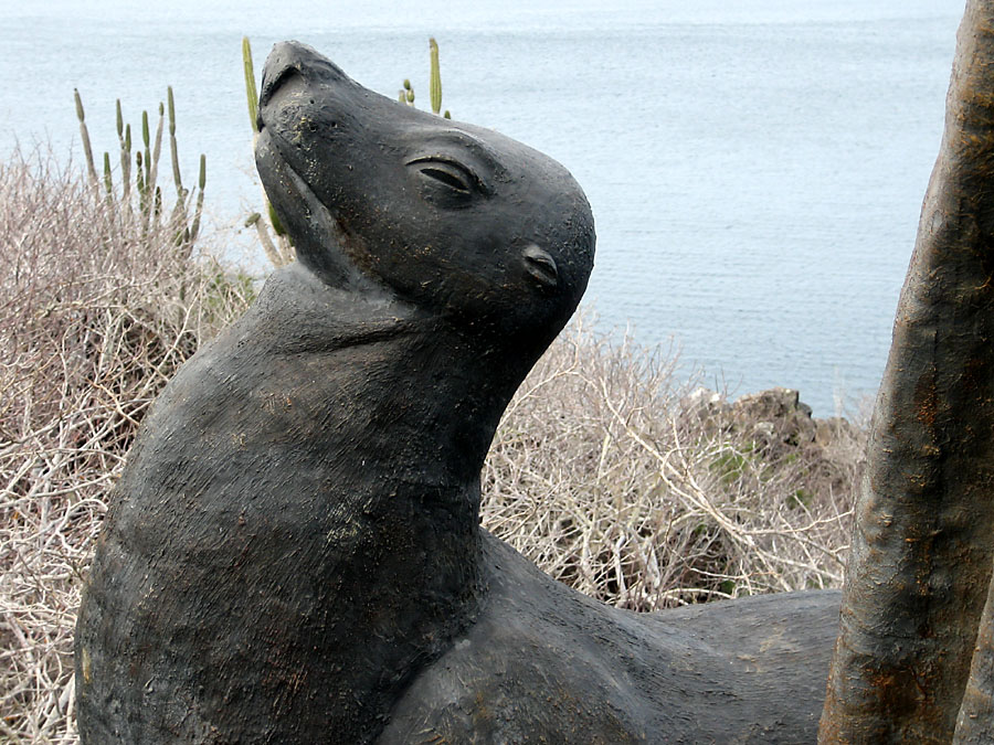 wIMG_0611.jpg
