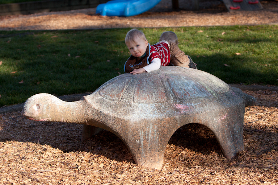 William climbing on the turtle