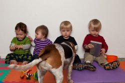 Sammy, Kate, Andy and Will and Gracie the beagle