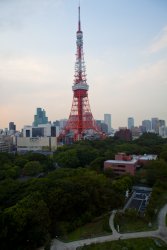Tokyo Tower as seen from our room