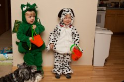 Will the dragon and Andy the dalmatian 3