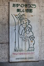 The (recycling) monkeys are coming!