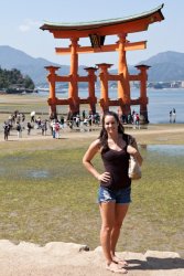 Tori in front of the torii