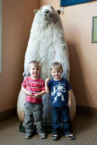 Will, Andrew and a giant hoary marmot