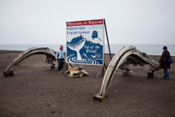 "Welcome to Barrow" "Top of the World" sign with Bowhead whale skulls