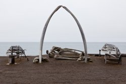 Barrow Whale Bone Arch (plus boat frames)