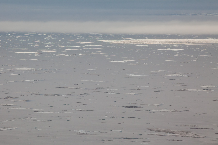 Icebergs in the Arctic Ocean 1