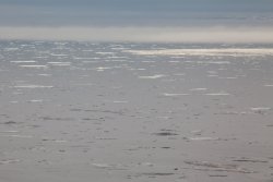 Icebergs in the Arctic Ocean 1