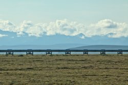 The Trans Alaska Pipeline