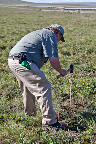 Tour guide Mike hammers rebar into the ground to see how down the permafrost layer is