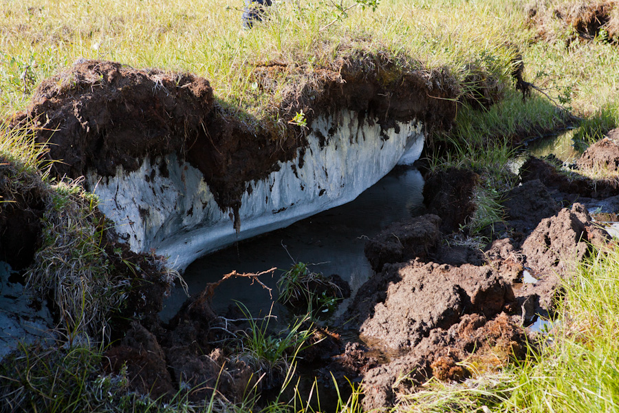 A sinkhole exposes the solid ice permafrost