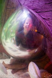 Andrew in a bubble